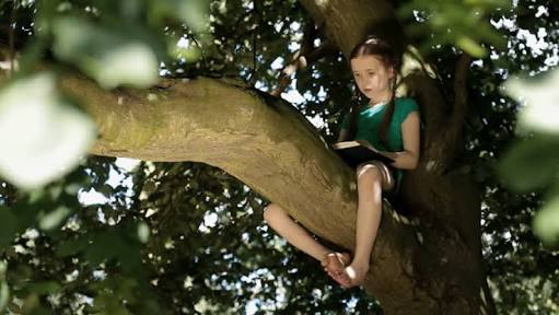 girl reading book sitting on a tree