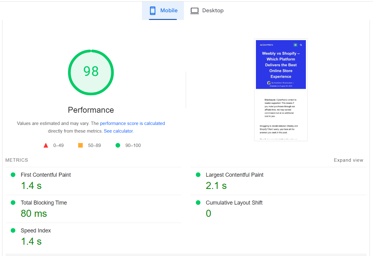 CyberNaira Page Speed Insights Reports