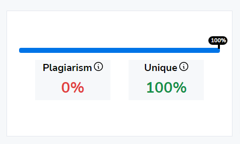 Plagiarism test result by Small seo tools