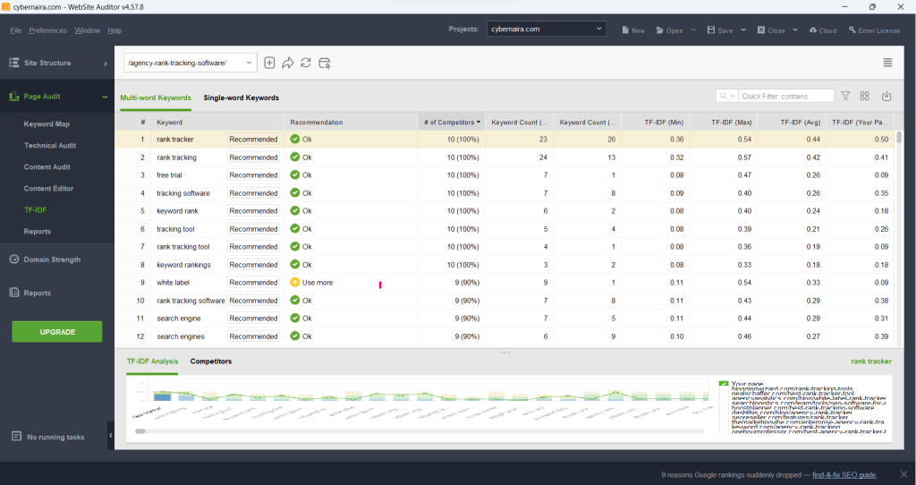 Website Auditor TF-IDF features