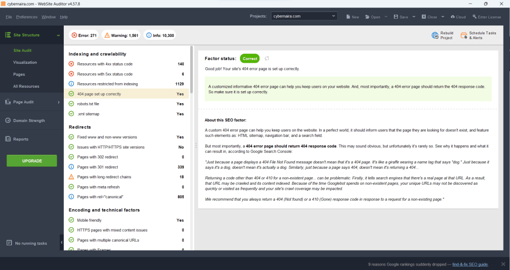 Website Auditor error info box